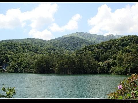 香港最高山峰大帽山：徒步、观日出、赏云海的绝佳去处