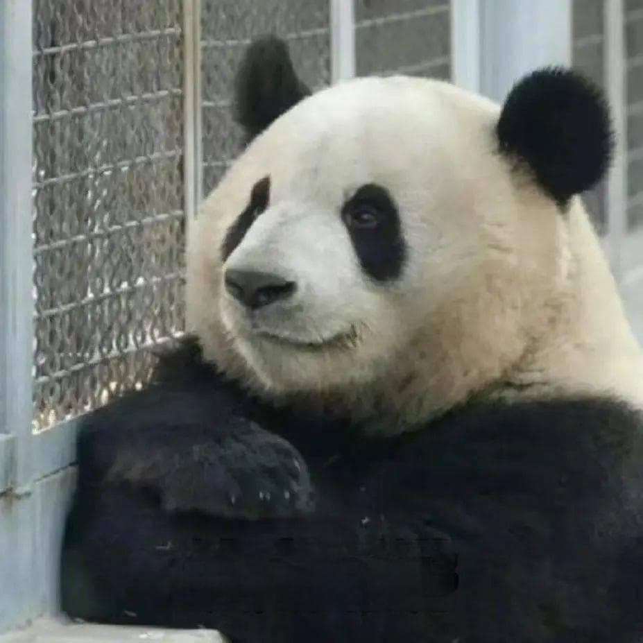 提醒！这几种剩菜别再二次加热了，再心疼也别吃！