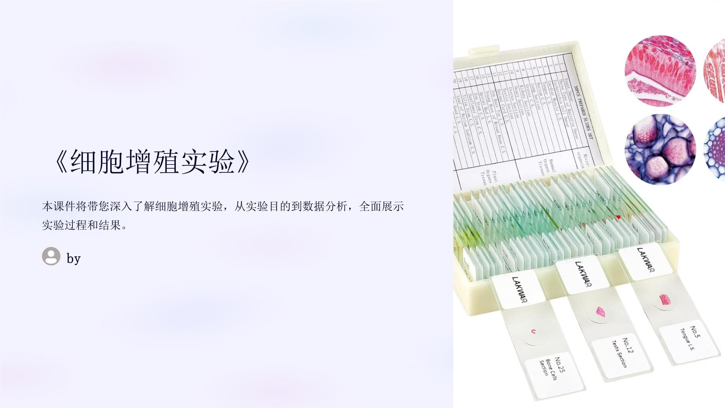 细胞增殖实验课件