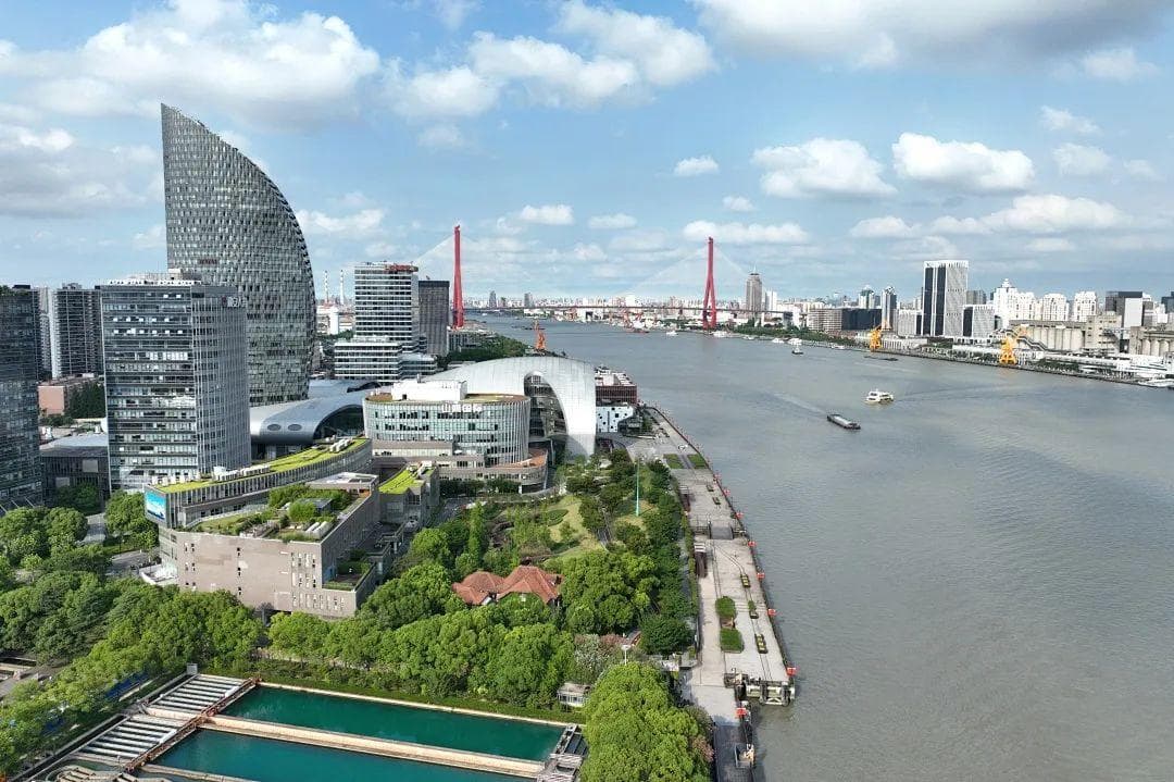 数智化治理+精准化服务！杨浦释放营商环境最浓暖意，提升企业感受