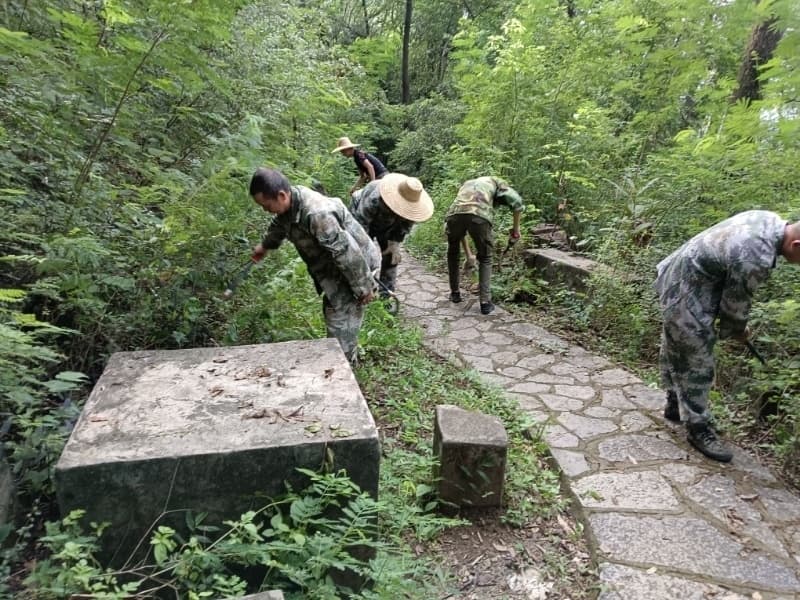 盛夏柳州市区公园野生动物和虫类逐渐增多，他们撒硫磺粉预防