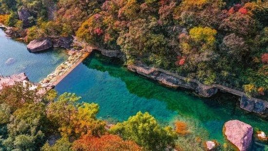 河南红叶美景进入最佳观赏期！错过再等一年