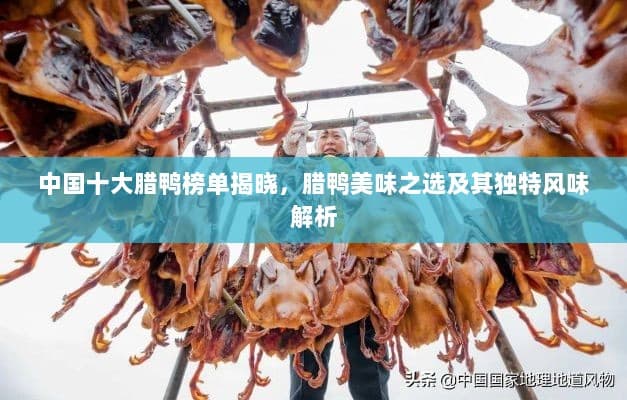 中国十大腊鸭榜单揭晓，腊鸭美味之选及其独特风味解析