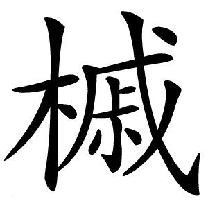 从树木到文字：揭秘“槭”字的形、音、义