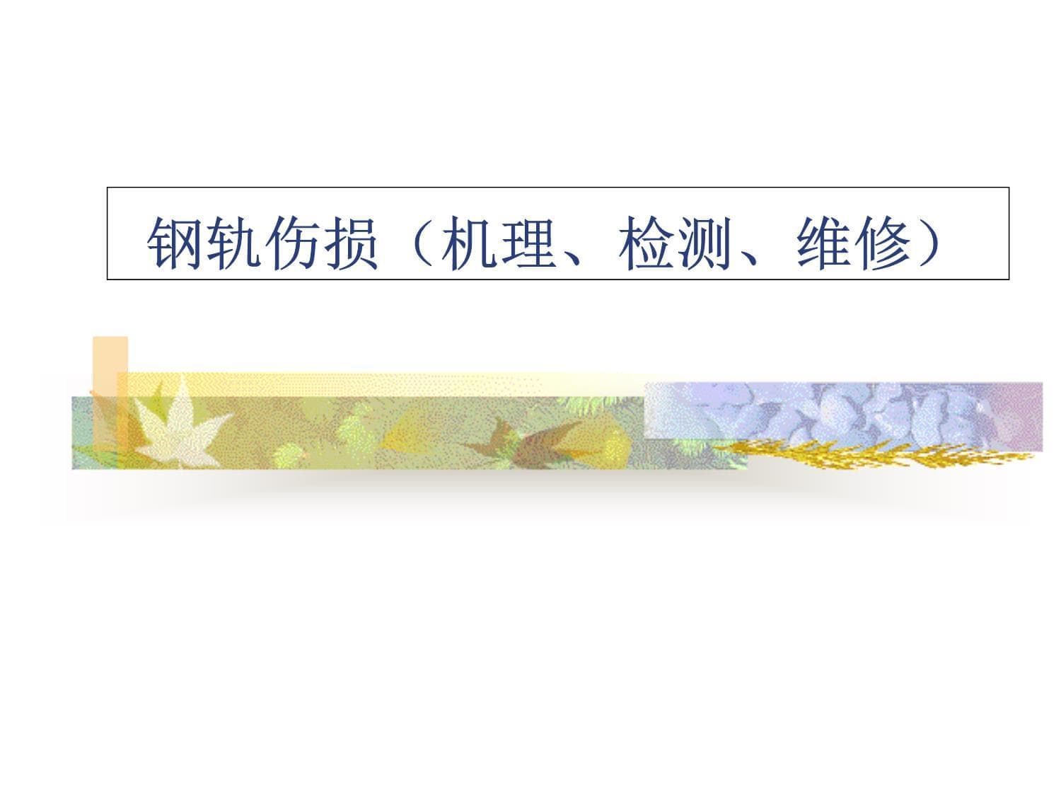 钢轨伤损-标准-检测与维修