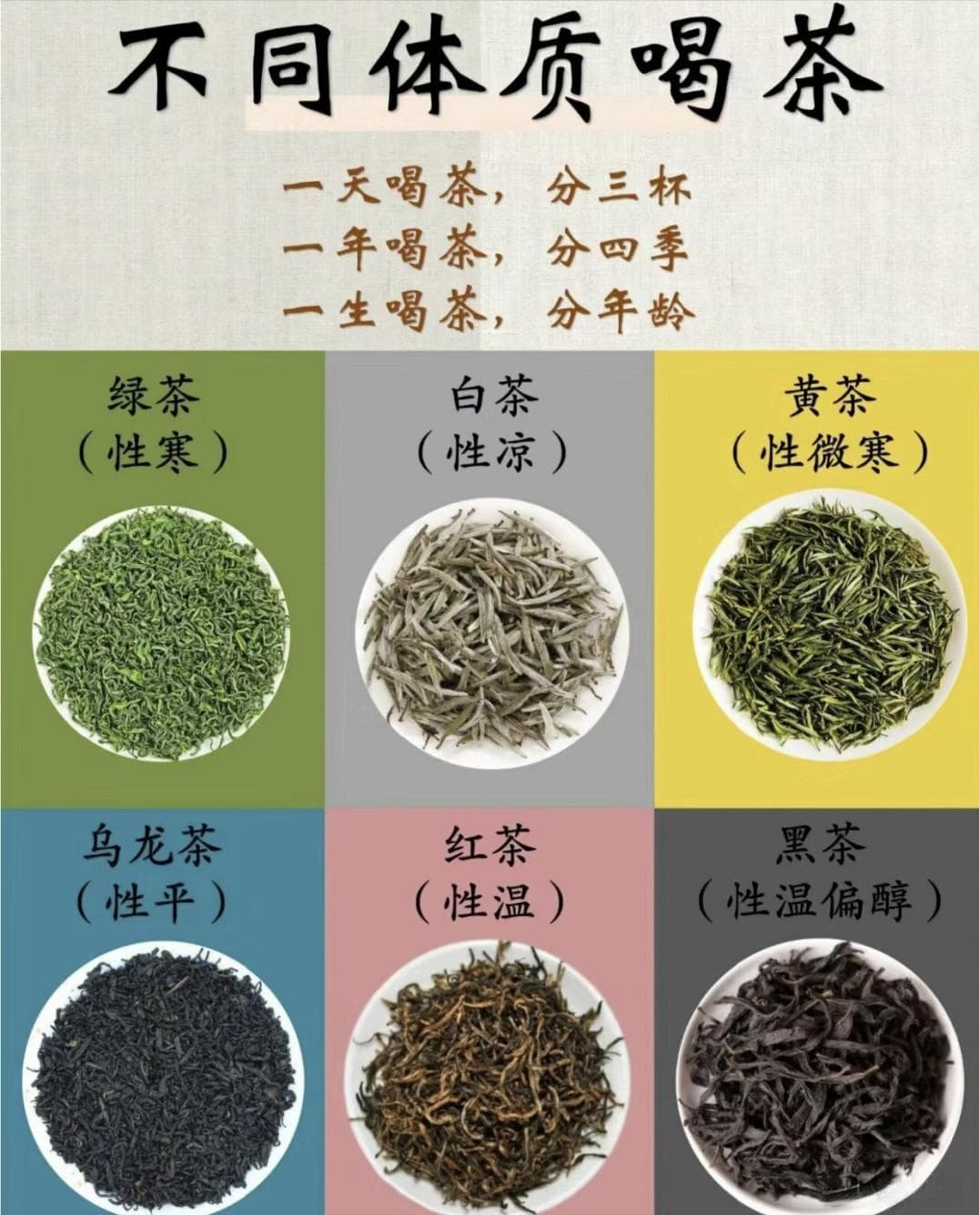 不同体质喝茶?🍵六大茶类功效与禁忌！
