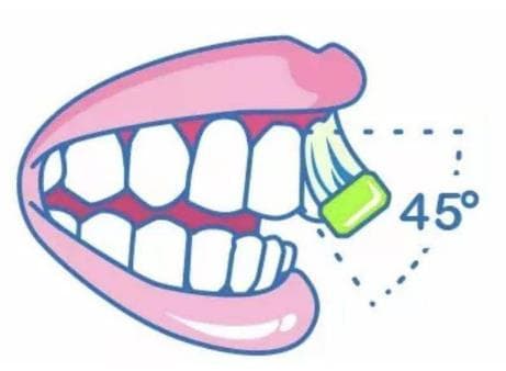 正确的刷牙方法图解！巴氏刷牙法步骤分析~