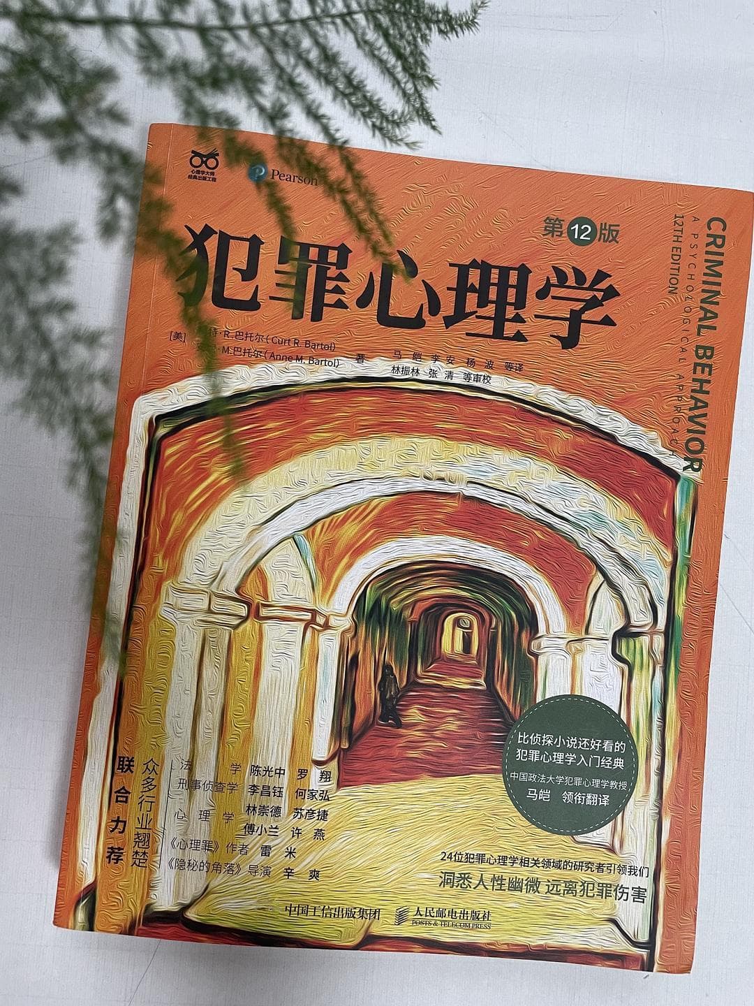 《犯罪心理学》：给家庭教育的启示