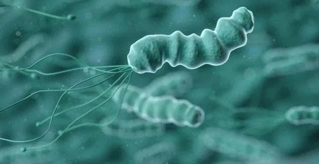 碳13、碳14呼气试验为何能够检测到幽门螺杆菌感染？该如何选择？