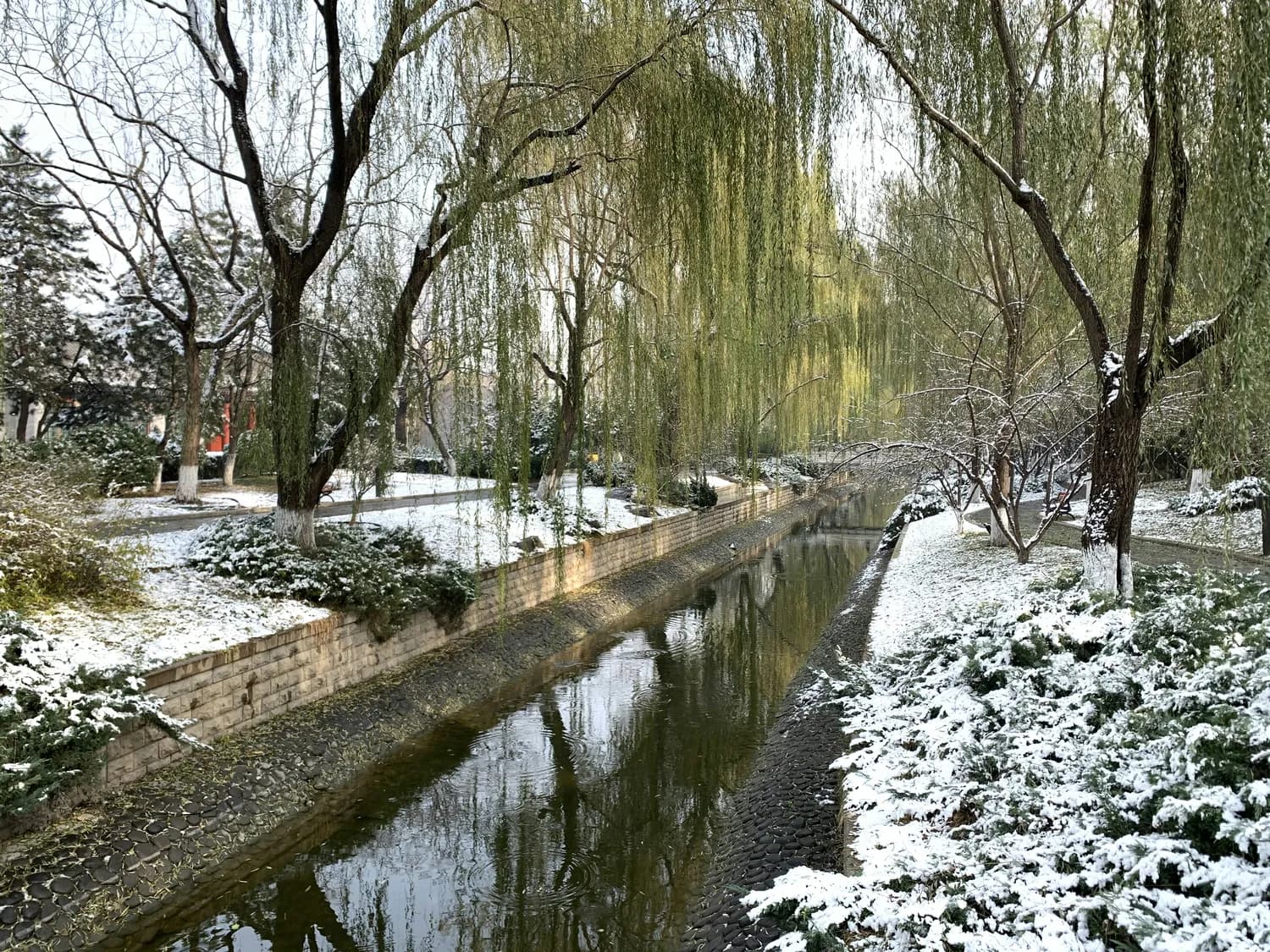 冬日游泰州：凤城河畔与溱湖湿地的魅力