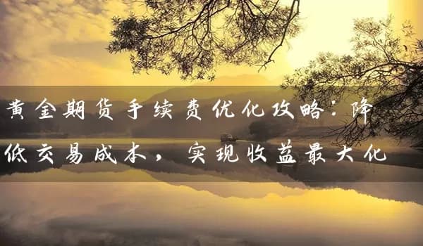 黄金期货手续费优化攻略：降低交易成本，实现收益最大化
