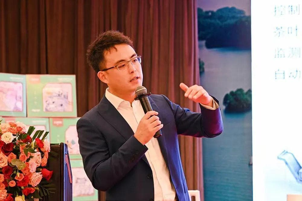 苏鸿：将现代化活力注入传统制茶技艺