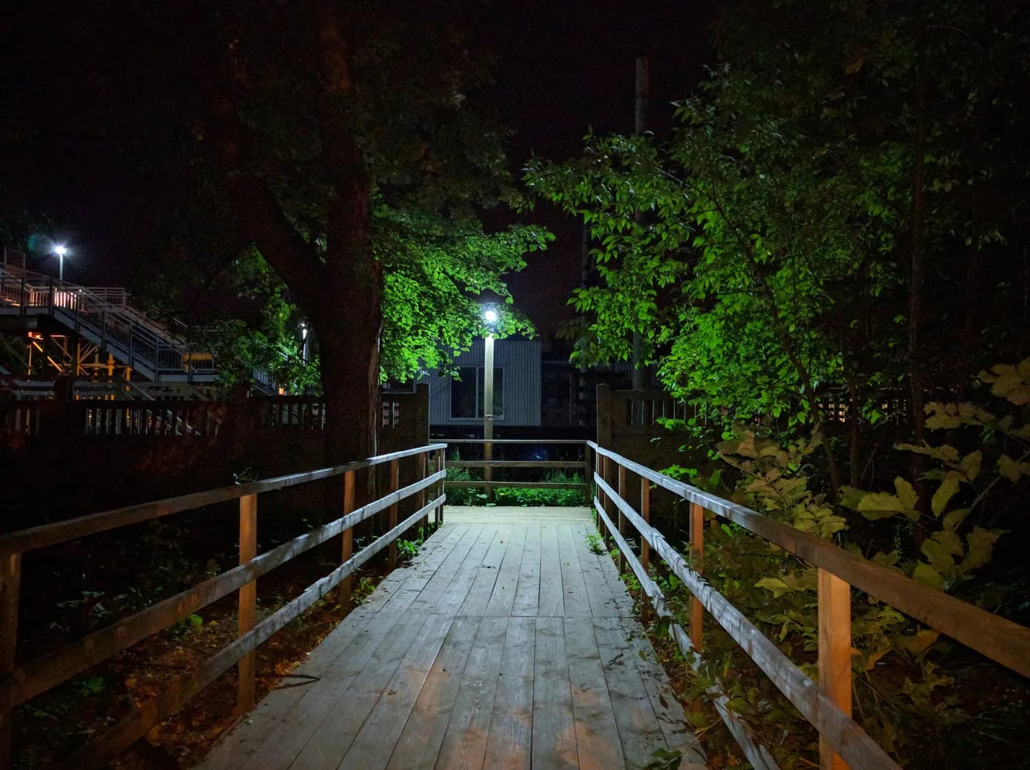 龙岩莲花山：世纪钟楼闭门保护，木栈道夜景依旧迷人
