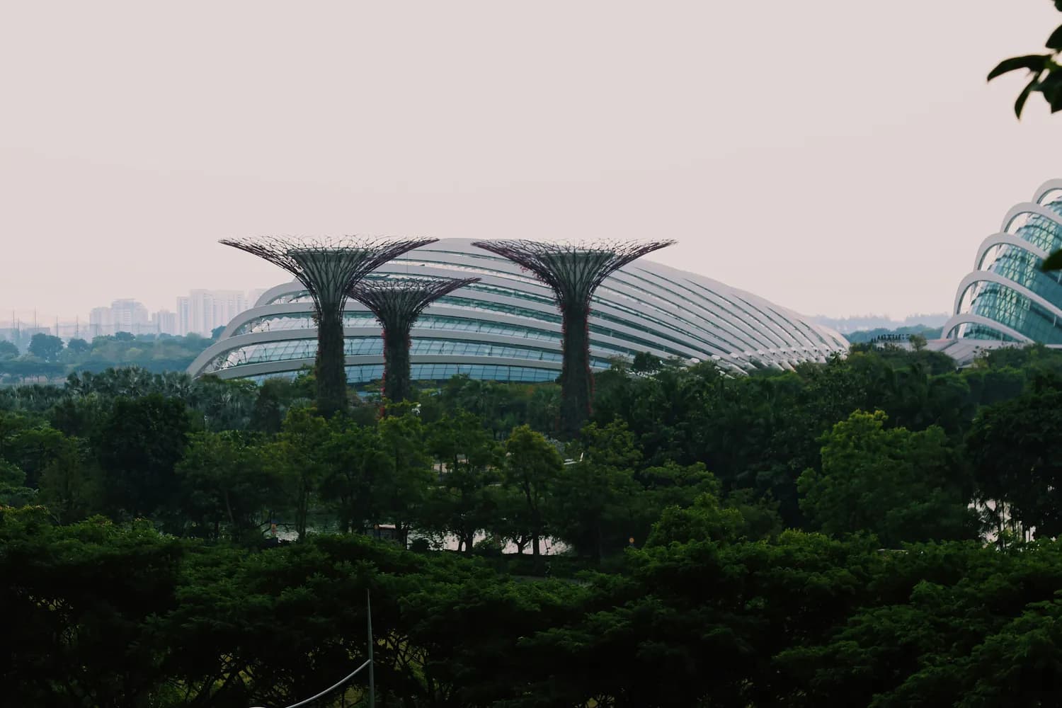 新加坡滨海湾花园：亚洲第一景点的魔幻与现实