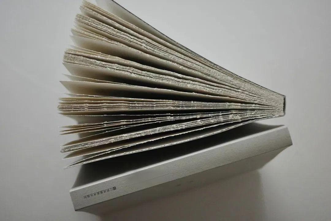 最美的书：《何物》里的墨色美学