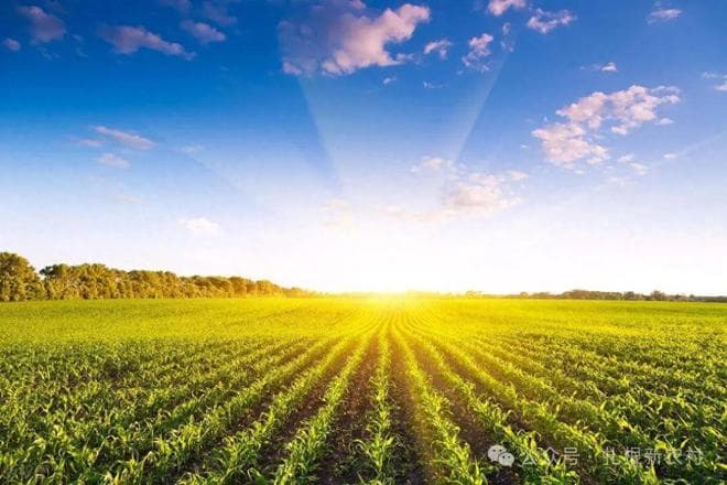 “闰六月热难当，庄稼要遭殃”啥意思？今年闰六月，夏季热到哭？