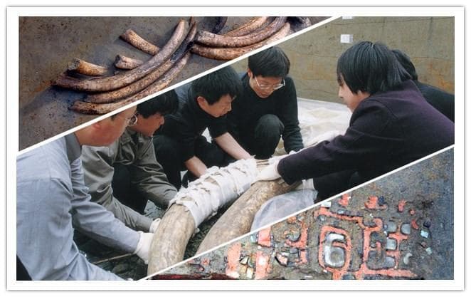 成都金沙遗址博物馆：商周时期大型祭祀遗迹的完整呈现