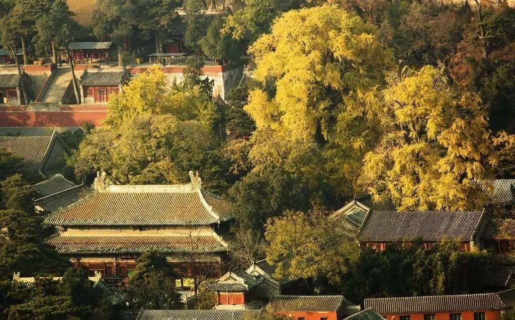 北京的诗与诗的北京