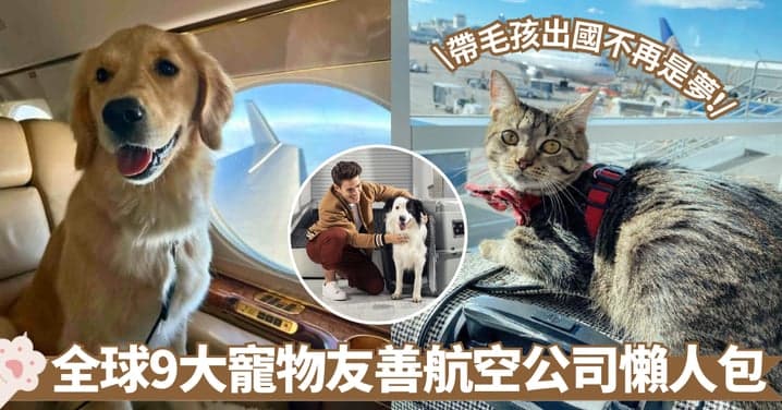 全球9大宠物友好航空公司懒人包：费用、外游政策