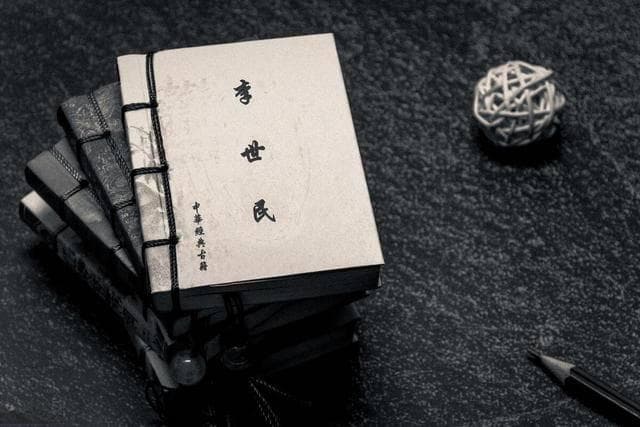 《资治通鉴》：李世民的权谋与智慧：从秦王到天可汗的帝王之路