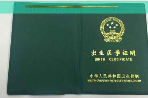 银行流水英文表达详解：Bank Statement 的正确使用方式