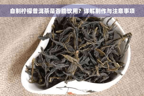 自制柠檬普洱茶是否能饮用？详解制作与注意事项