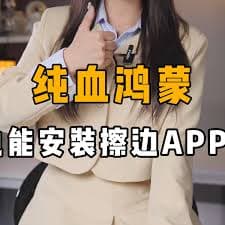 纯血鸿蒙能否安装APK文件