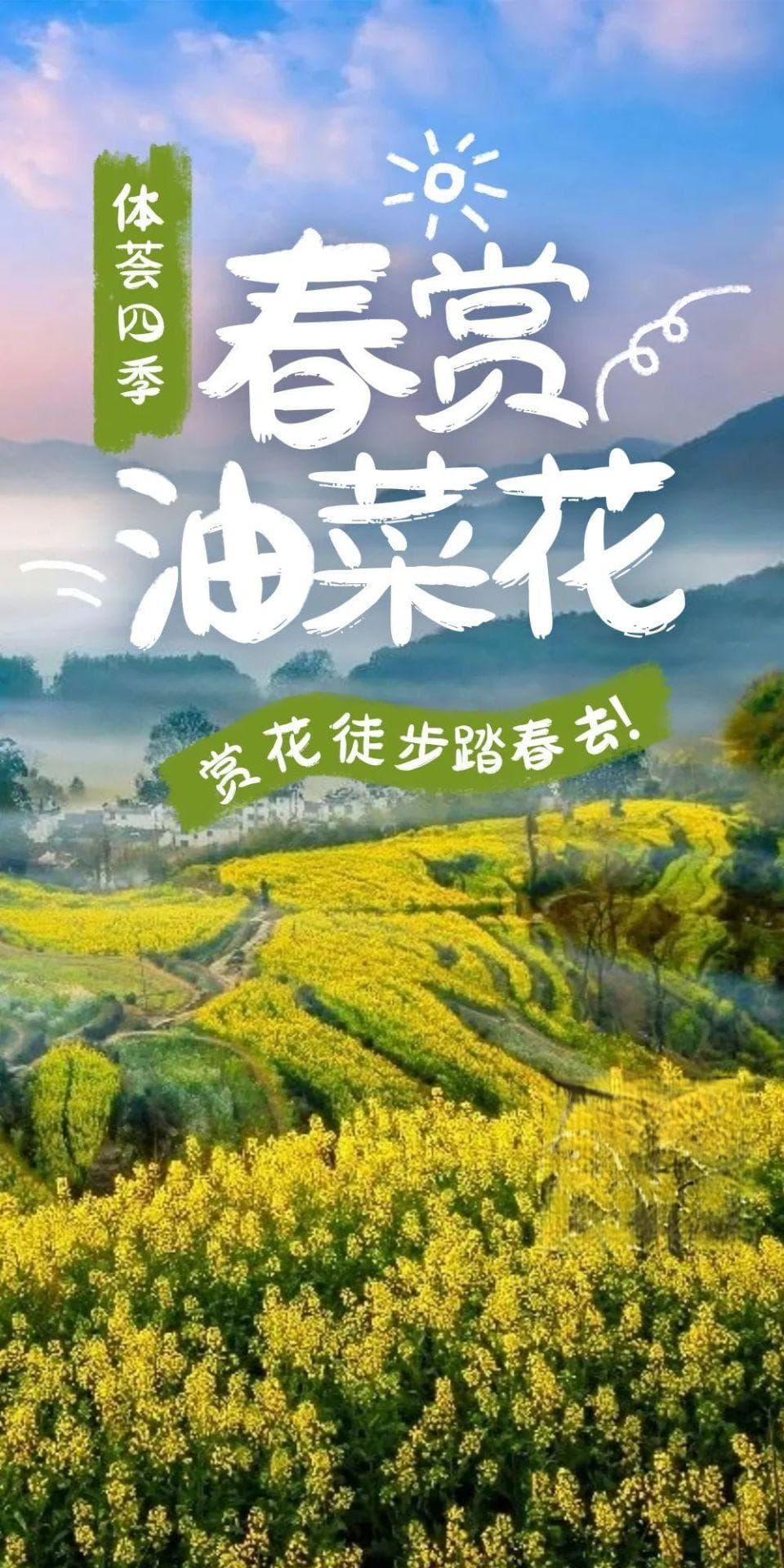 体荟四季｜正是江南踏春时！这5条油菜花赏花路线，一起享受春天