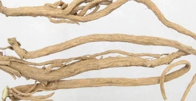 牛膝：治膝病专药，引气血及药物下行