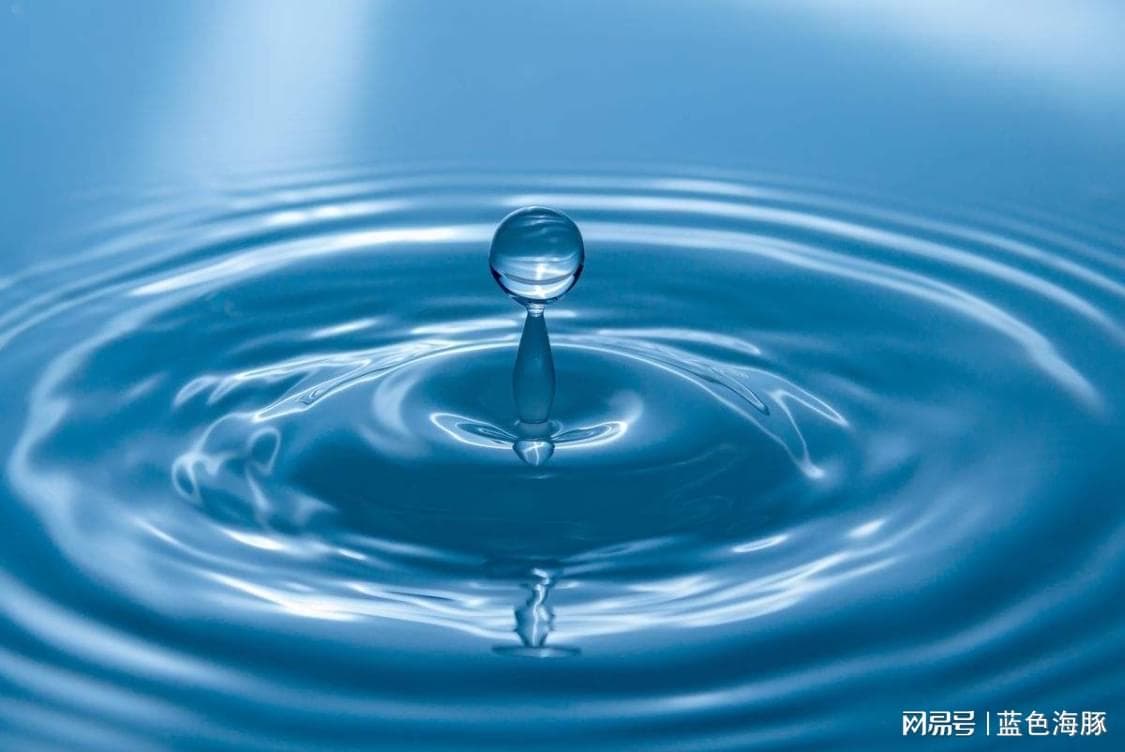为什么只有人类不敢直接喝地球的水？其他生物凭什么可以！
