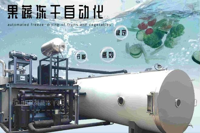 冻干技术让农产品更“保鲜”：营养口感双提升