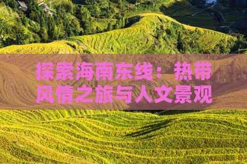 海南东线旅游攻略：热带风情与人文景观的完美融合