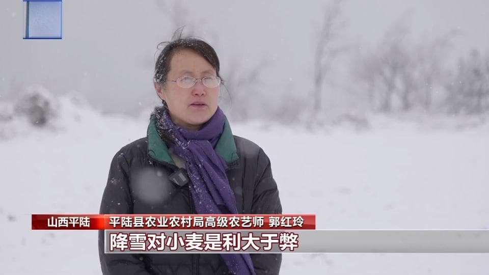 倒春寒遇上科学管理“处方”  多地农业稳产有“暖招”