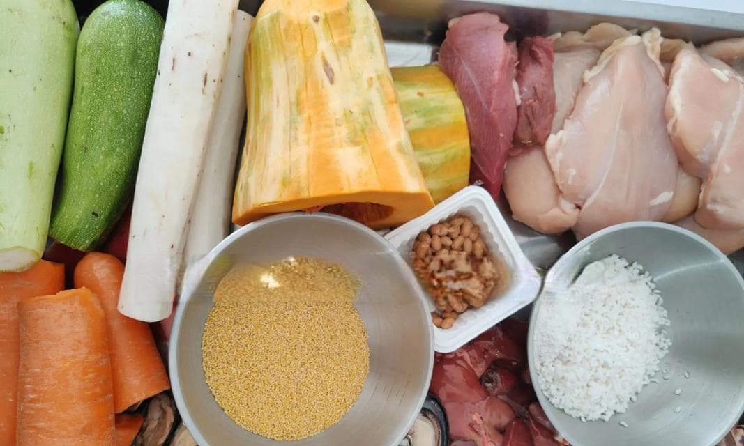给狗用鸡蛋做狗粮有什么好处和风险吗？