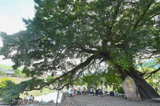 “最佳旅游乡村”总数第一！中国乡村惊艳世界