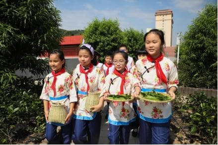深圳文理一小：构建“茶文化+”融合课程体系