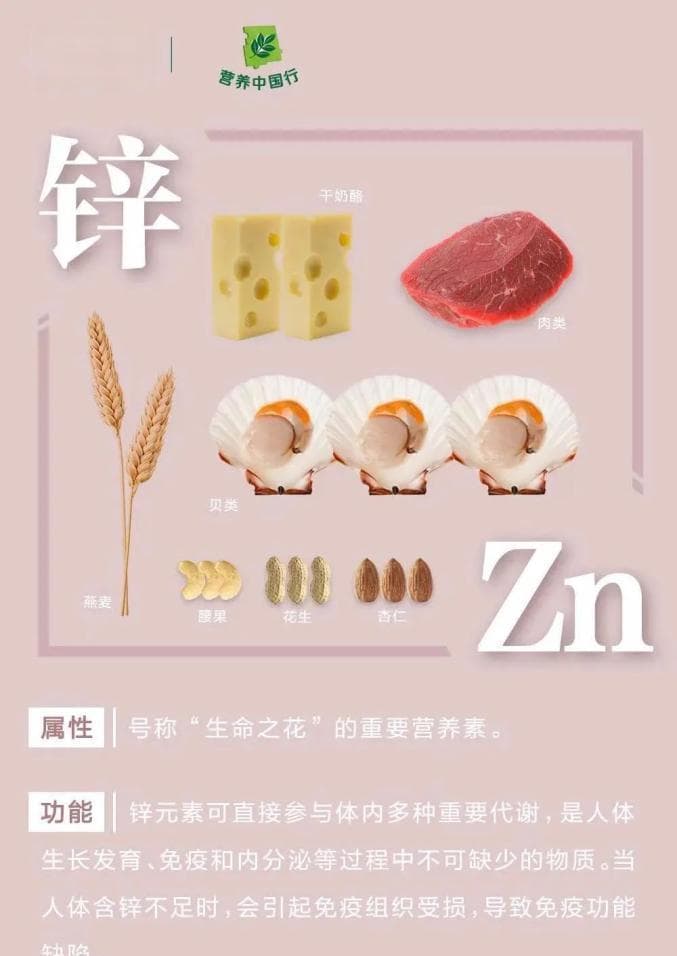 宠物需要的六大营养素（为你的宠物提供全面的营养保障）