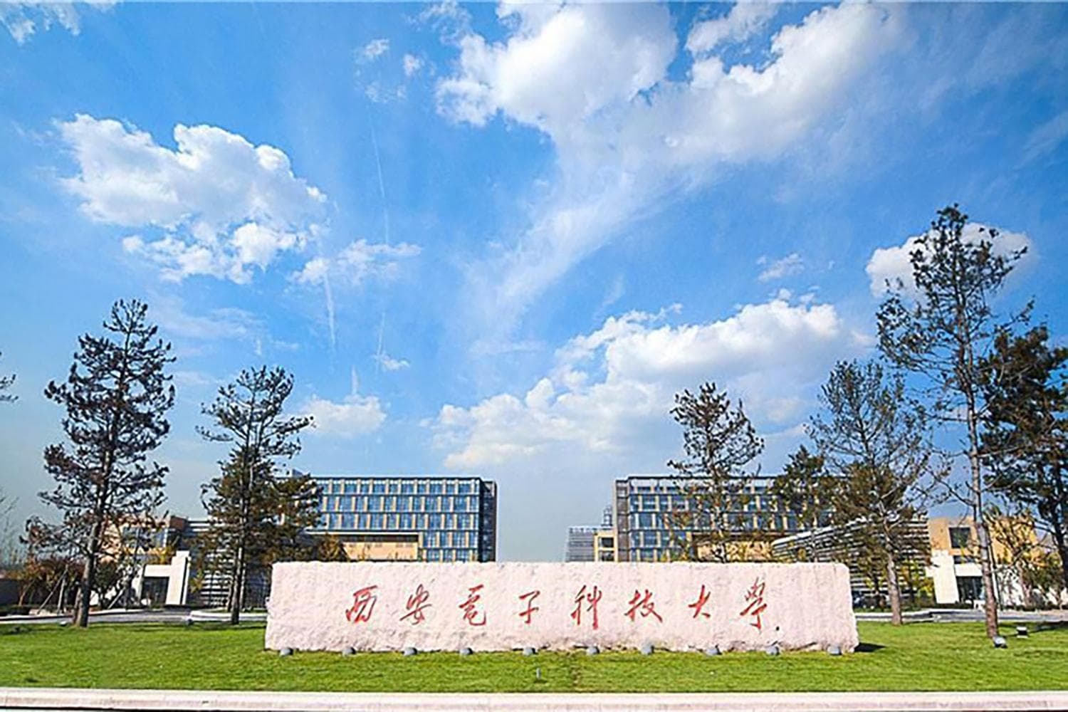 陕西557分能上什么大学？附2025年可以报考的大学名单