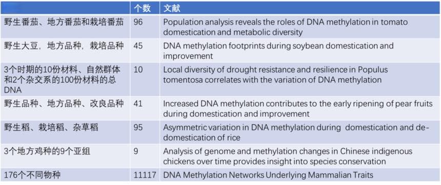 干货 | 如何进行群体DNA甲基化分析