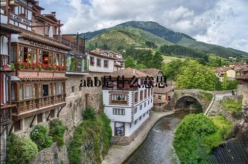AAB是什么意思？全面解析这个常见缩写