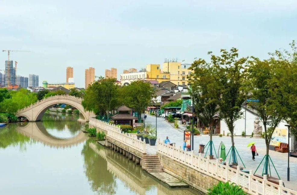 从浦东古镇到世界舞台，三林舞龙队的非遗传承之路