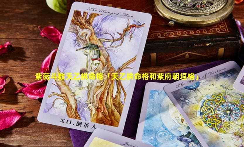 紫薇斗数天乙拱命格：贵人相助的命理解读