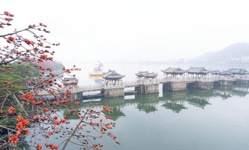 潮州市接待办：文化传承底蕴厚 简约接待潮味浓