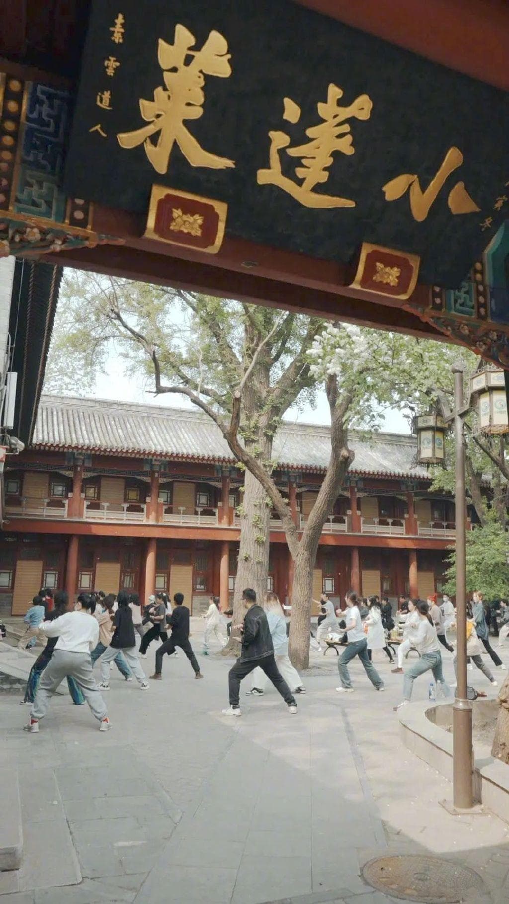 年轻人涌入道观：打太极、拜神，安顿身心