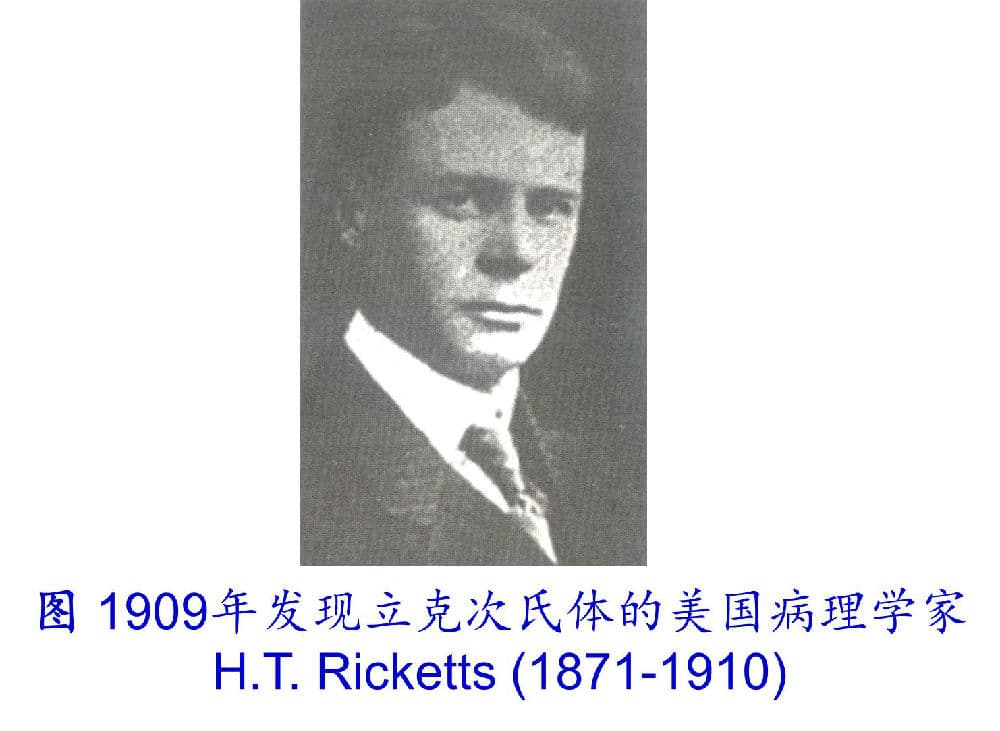 环境微生物之三体：支原体、立克次氏体、衣原体