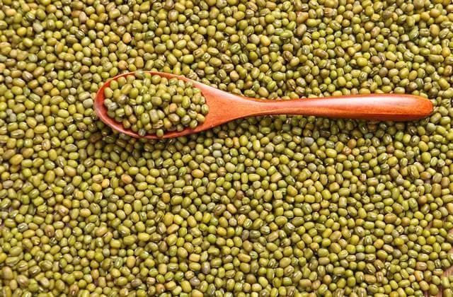 【植物种子保存方法】种子保存方法有哪些 常用的几种种子贮藏方法
