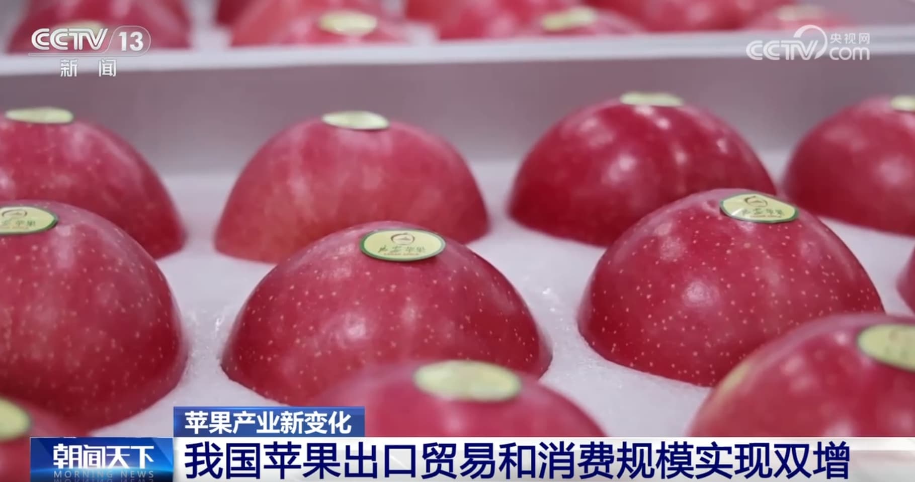 “数字化的风”吹进果园 智慧新“农具”持续推动苹果产业升级