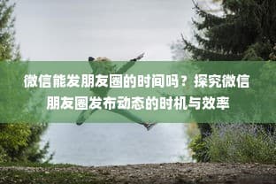 微信朋友圈动态发布时机与效率探究，最佳发布时间分析指南