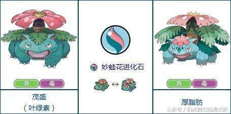 宠物小精灵xymega图鉴-《超进化精灵》图鉴