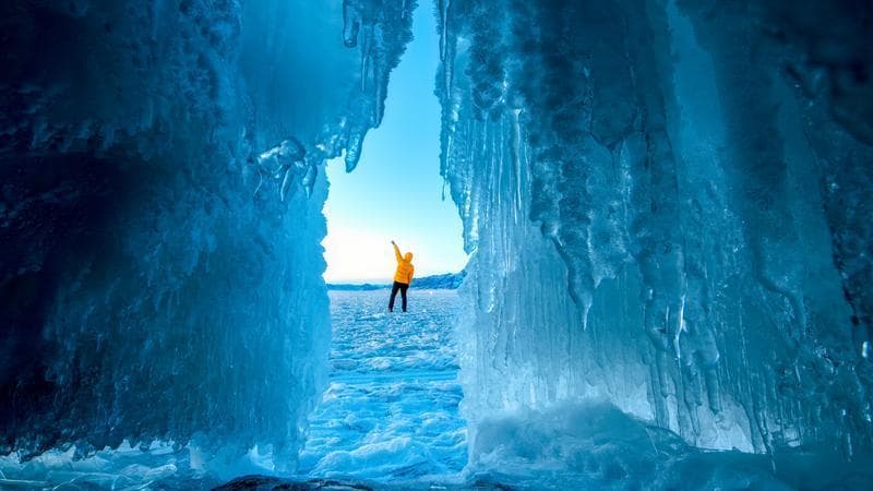 成功复活冷冻18个月的大脑，人类可以“永久保鲜”？